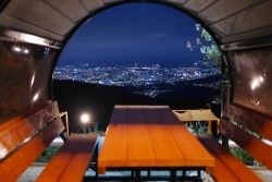 숲은 숲밖에서 보여